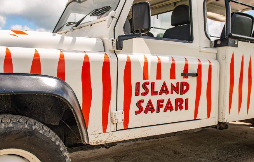 Land & Sea Excursion, A Catamaran Boat Tour and Jeep Safari in Antigua