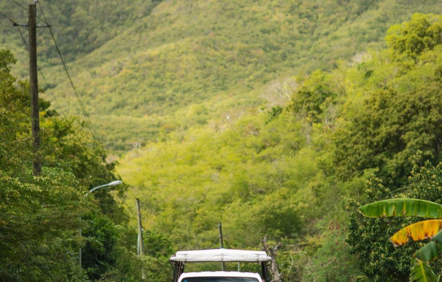 Land & Sea Excursion, A Catamaran Boat Tour and Jeep Safari in Antigua