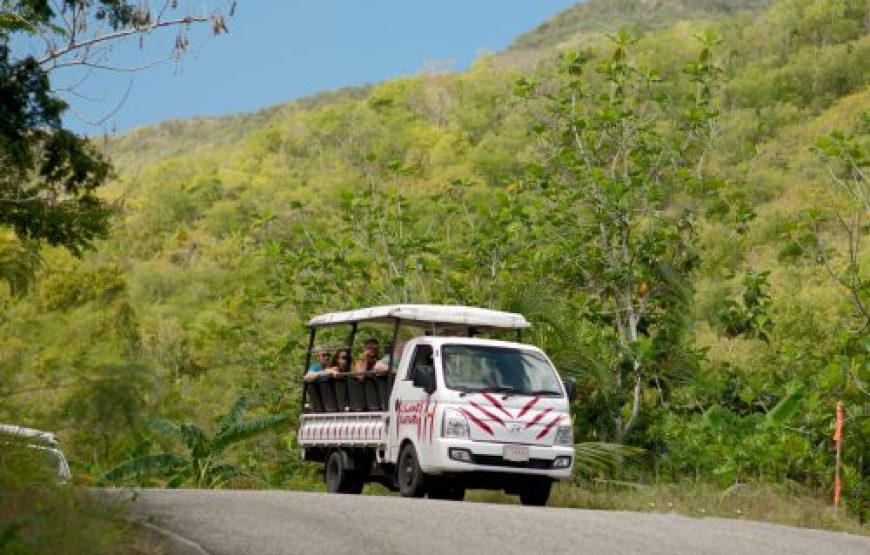 Land & Sea Excursion, A Catamaran Boat Tour and Jeep Safari in Antigua