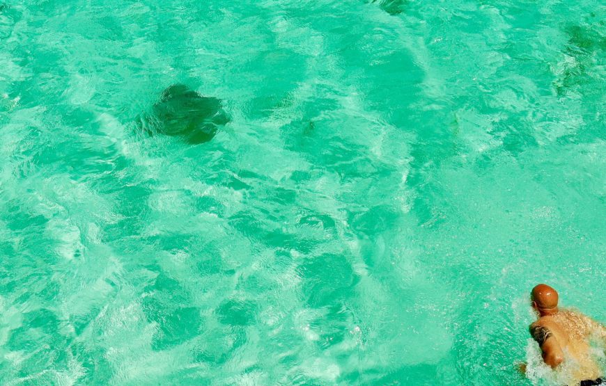 Island Safari Sting Ray Fantasy Tour In Antigua