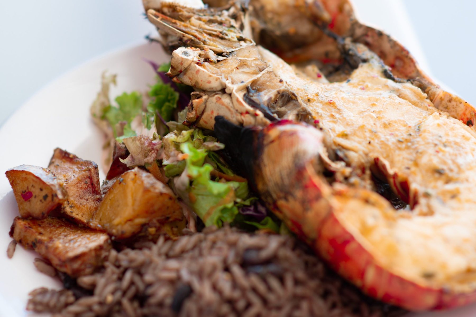 636eb3952e4f887500352b46_JRD_7084