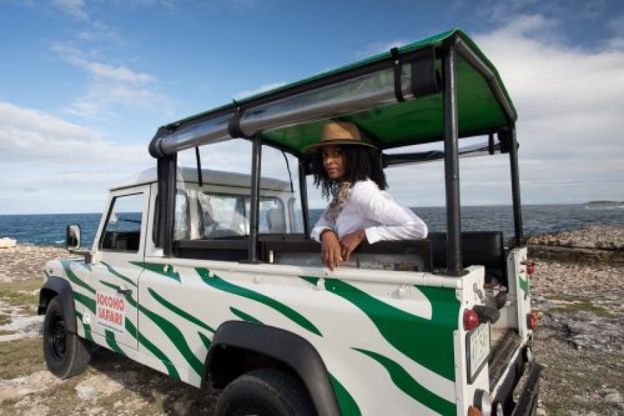 Kayak Mangove Lagoon Half Day Tour