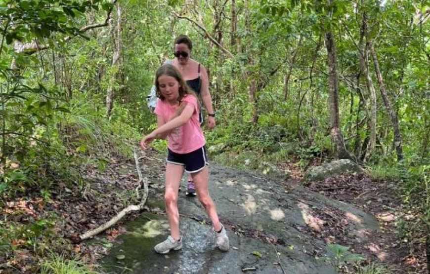 Carpenters Rock Trail (Mermaid Garden) / Lookout Trail