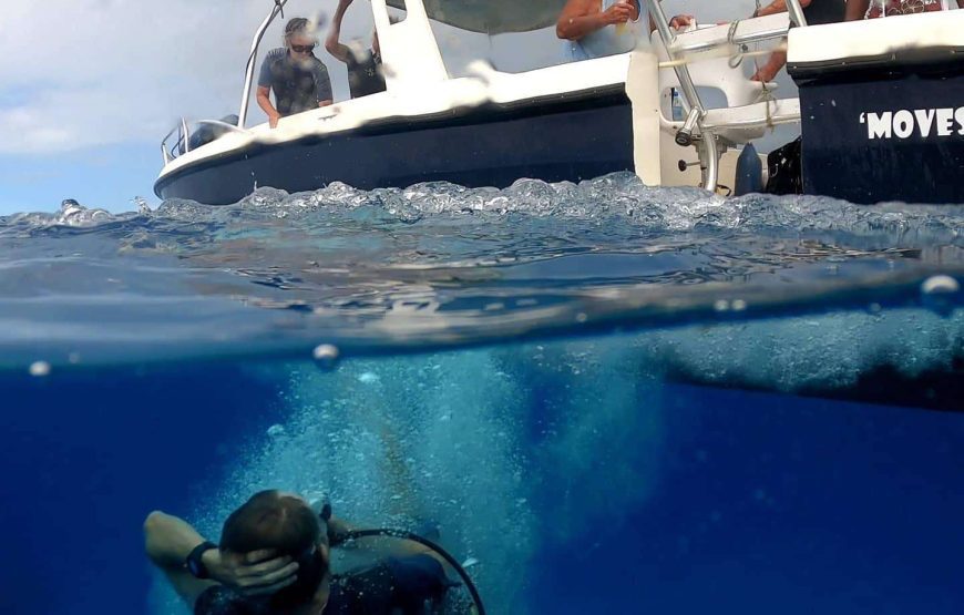 Scuba School I SSI Scuba Divers