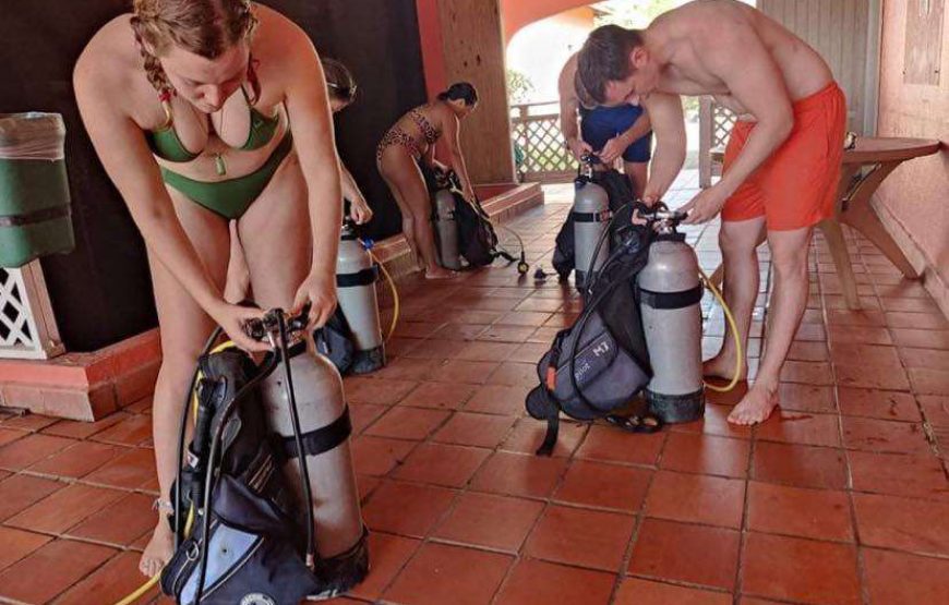 Scuba School I SSI Scuba Divers