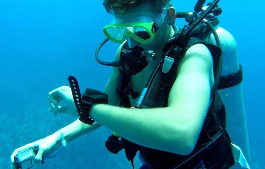 Scuba School 2 Tank Live