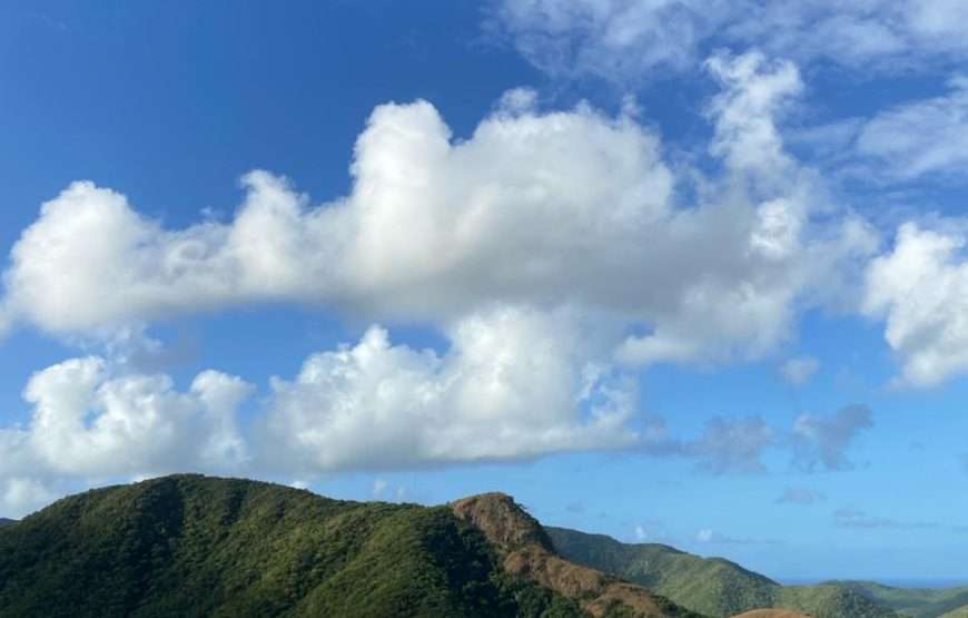 Wellness Journey Nature Walk