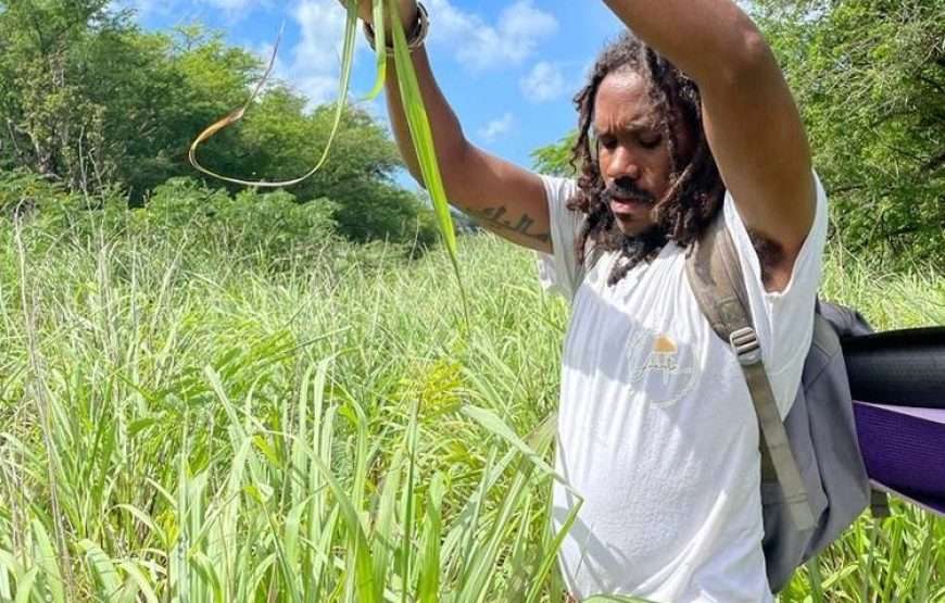 Wellness Journey Nature Walk