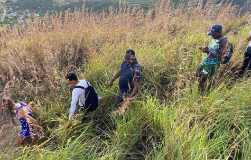 Wellness Journey Nature Walk